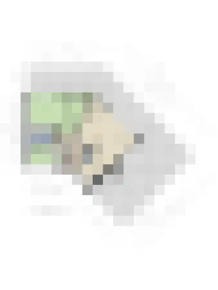 Cuypersdreef 42 Barendrecht thumbnail 37