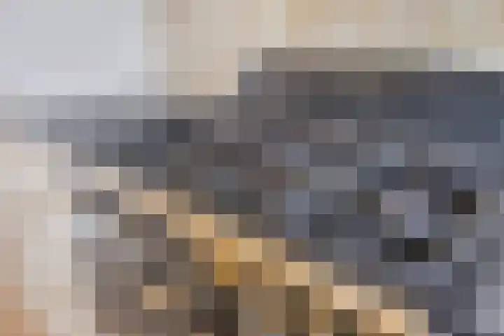 Cuypersdreef 42 Barendrecht thumbnail 9