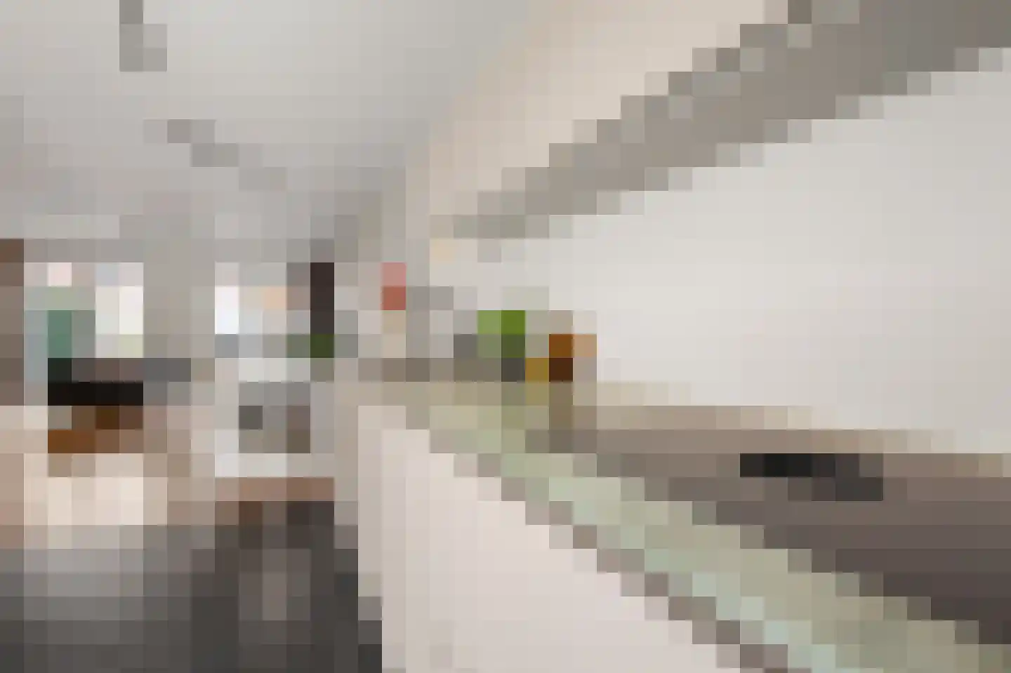 Cuypersplantsoen 24 Utrecht thumbnail 11