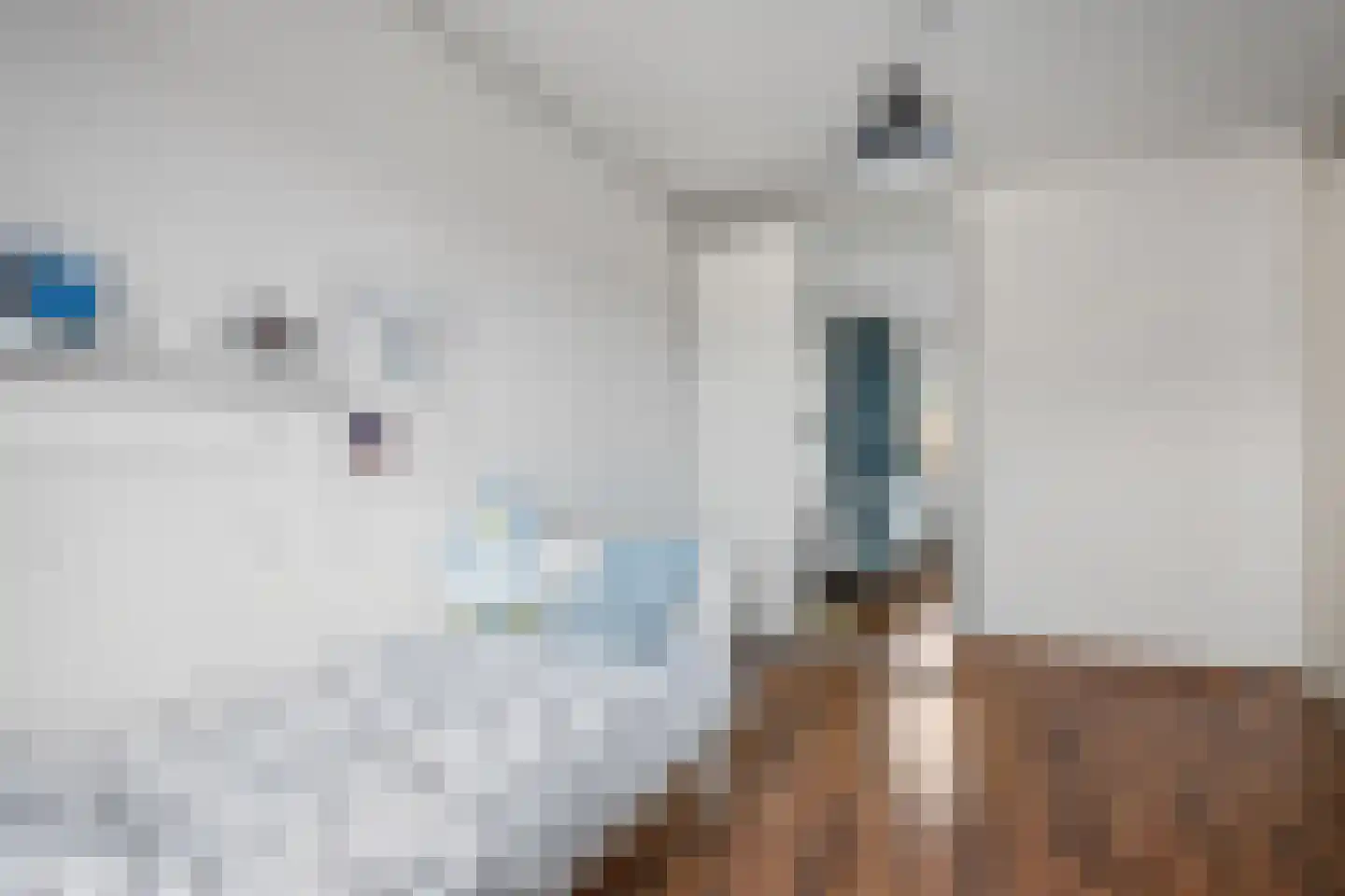 Cuypersplantsoen 24 Utrecht thumbnail 15