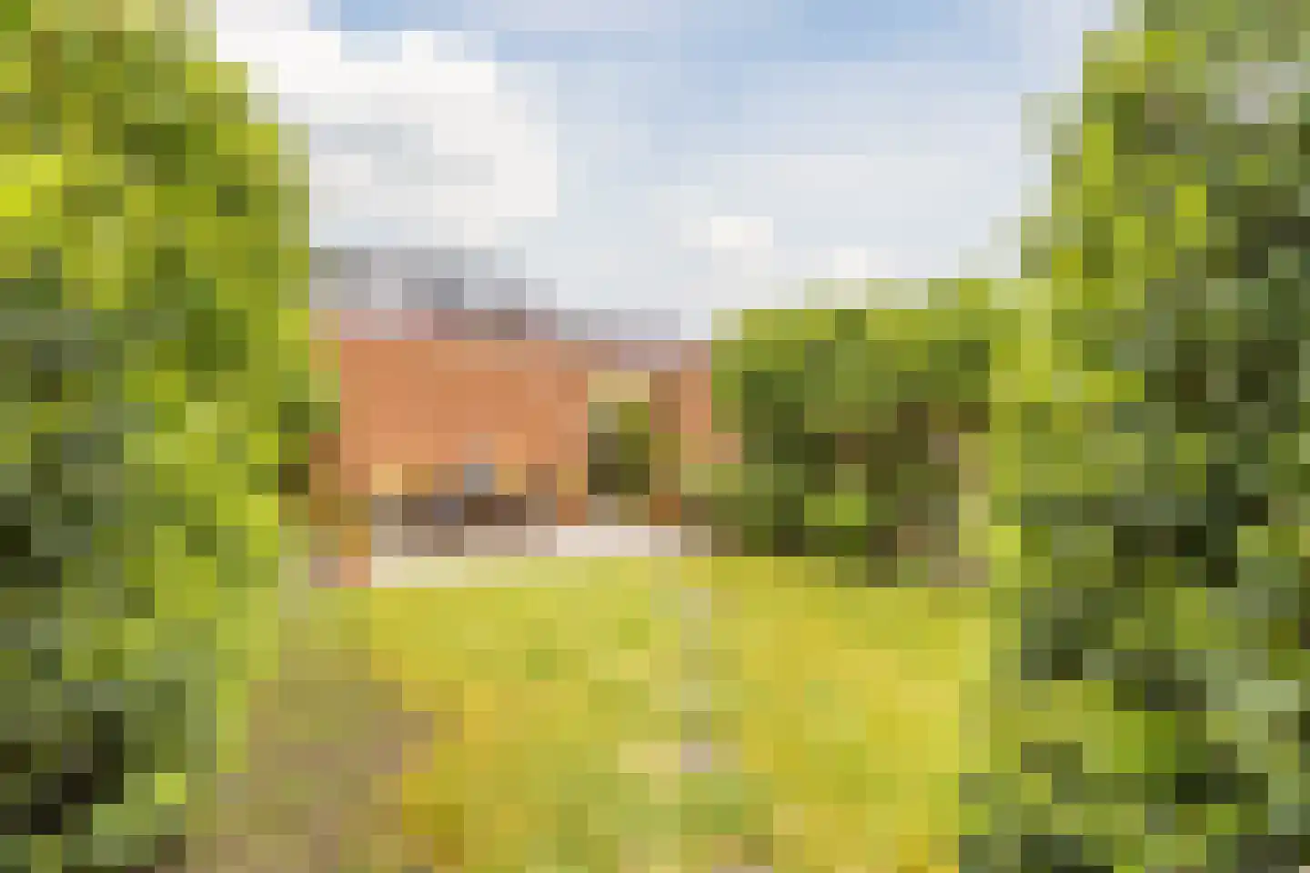 Cuypersplantsoen 56 Utrecht thumbnail 13