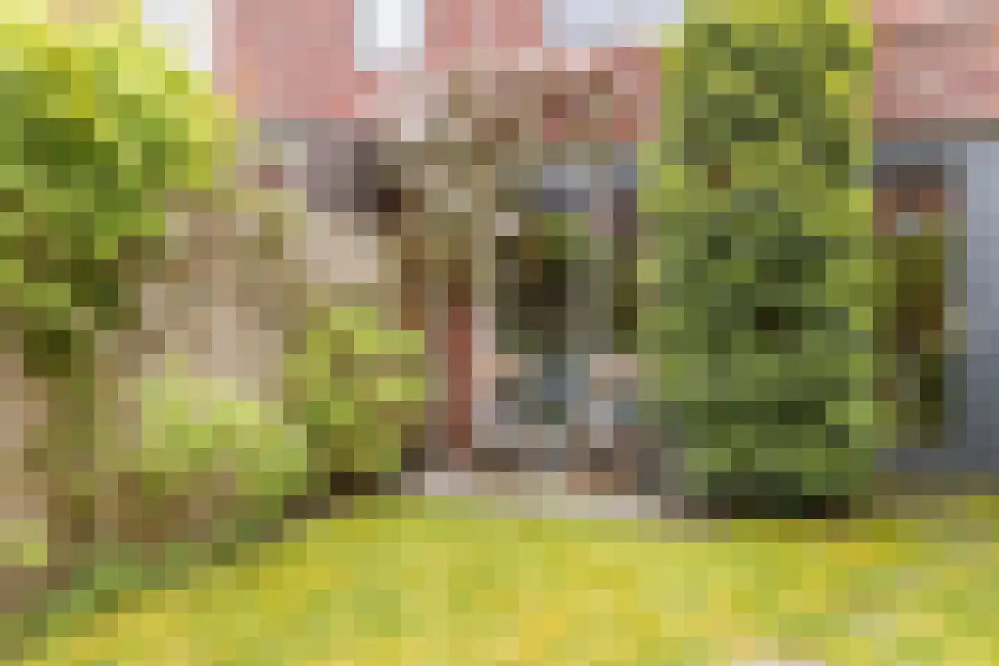 Cuypersplantsoen 56 Utrecht thumbnail 18