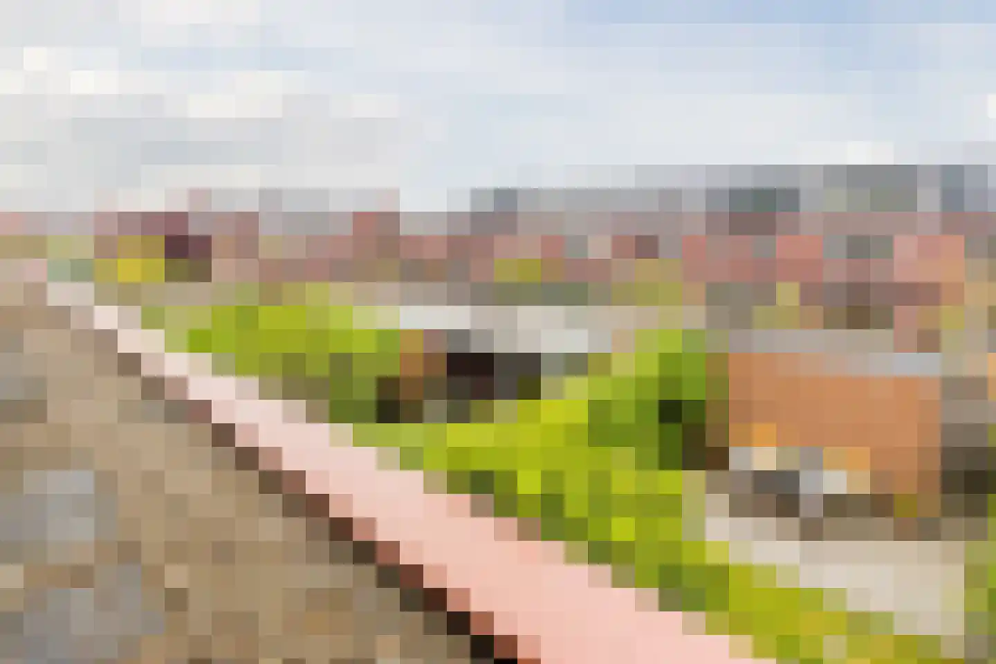 Cuypersplantsoen 56 Utrecht thumbnail 44