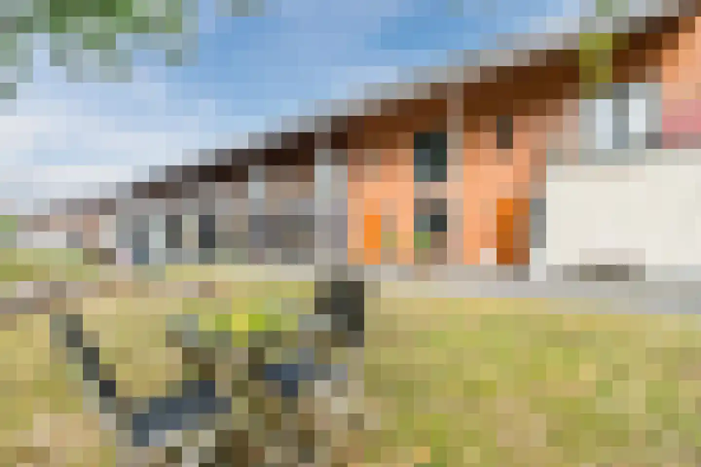 Cuypersplantsoen 56 Utrecht thumbnail 68