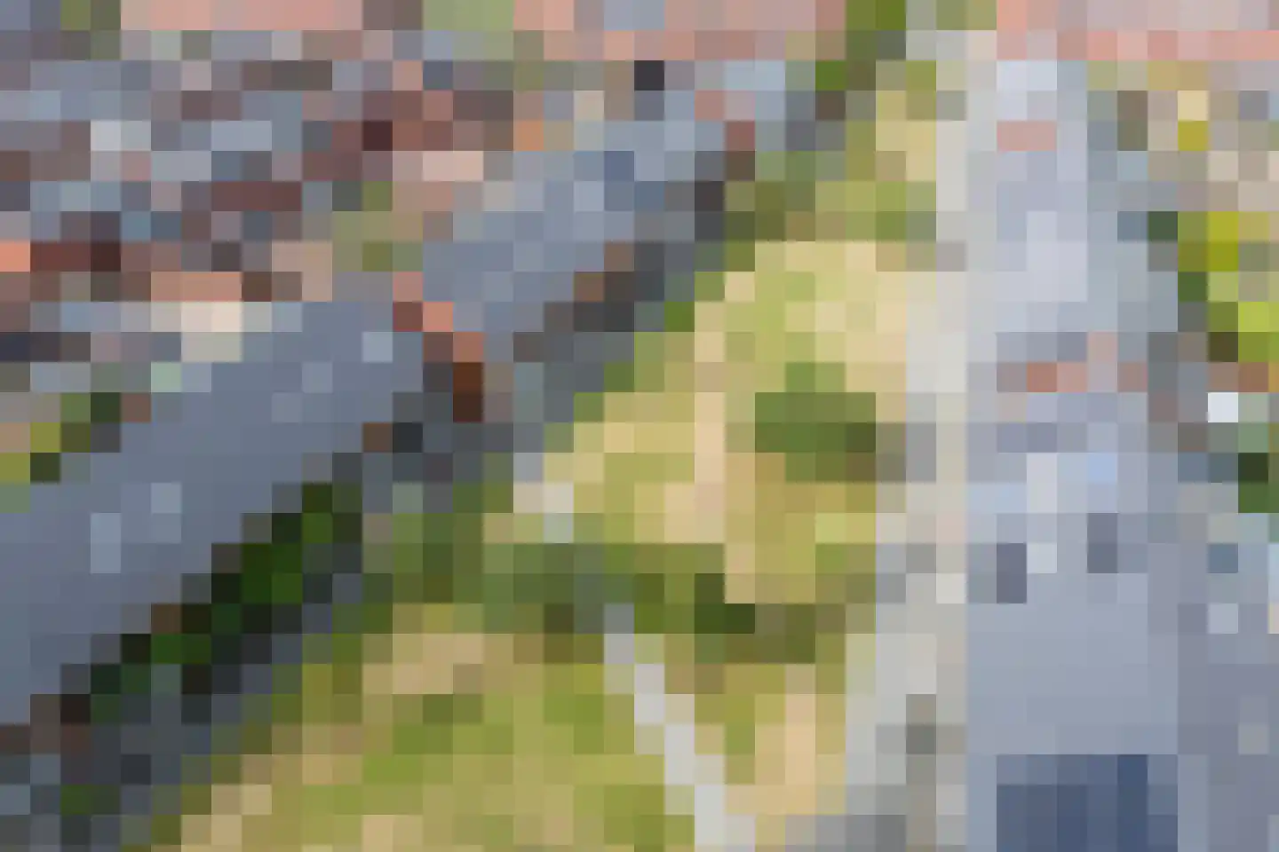 Cuypersplantsoen 56 Utrecht thumbnail 74