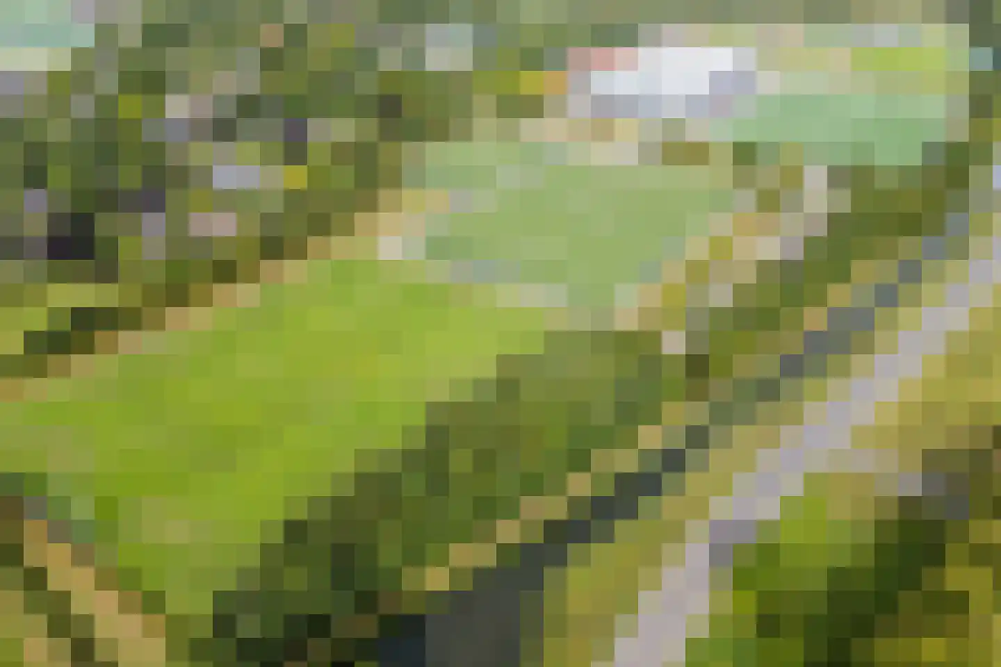 Cuypersplantsoen 56 Utrecht thumbnail 76