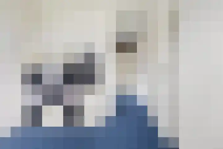 Cuypersweg 24 Groningen thumbnail 29