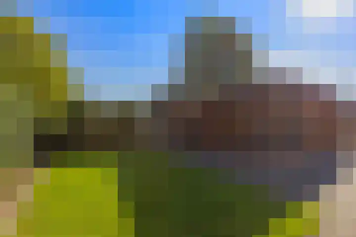 Cuypersweg 24 Groningen thumbnail 32