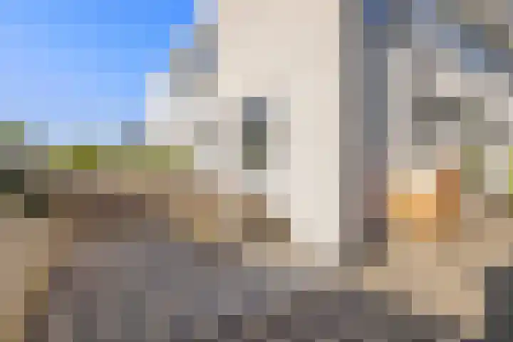 Cuypersweg 24 Groningen thumbnail 36