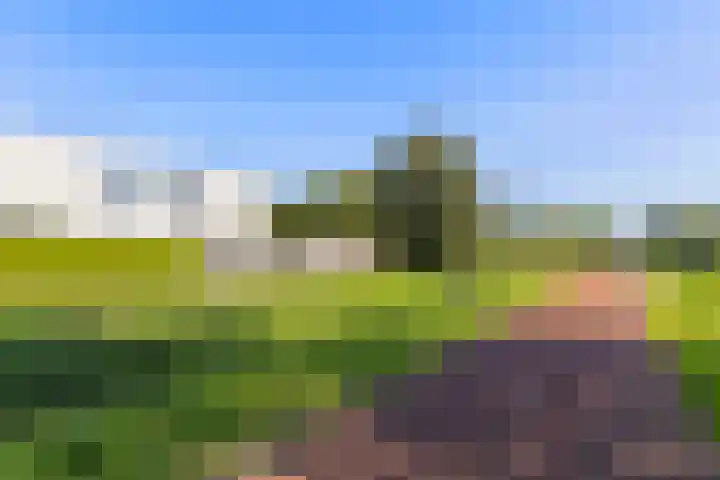 Cuypersweg 24 Groningen thumbnail 41