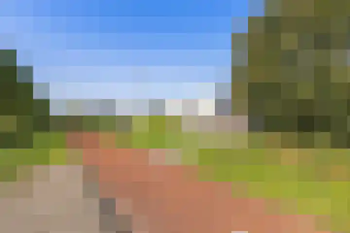 Cuypersweg 24 Groningen thumbnail 42