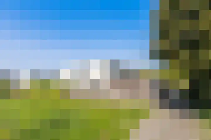 Cuypersweg 24 Groningen thumbnail 43