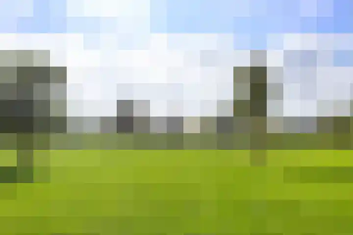 Cuypersweg 24 Groningen thumbnail 45