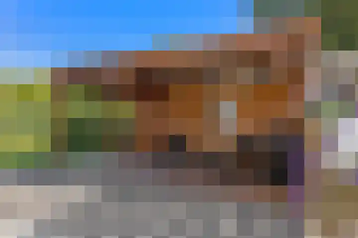 Cuypersweg 24 Groningen thumbnail 6
