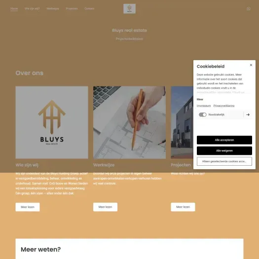 Screenshot van de website van www.bluysrealestate.com