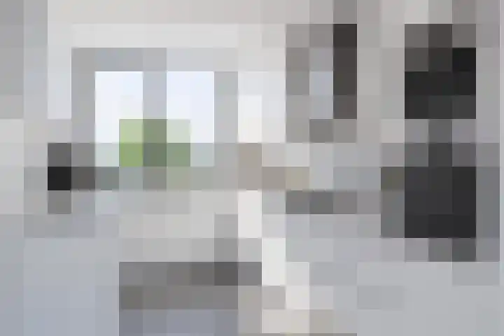 Cyclaamberg 2 Roosendaal thumbnail 14