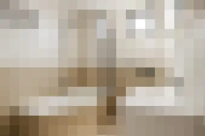 Cyclaamberg 2 Roosendaal thumbnail 25