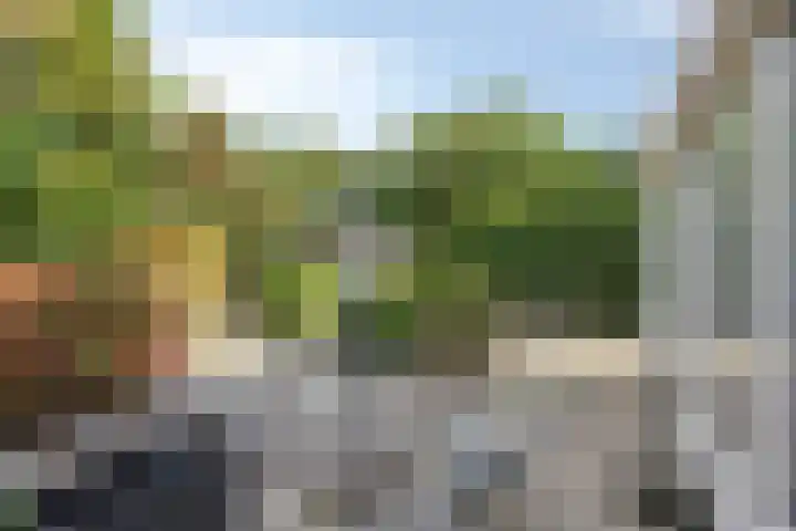 Cyclaamberg 2 Roosendaal thumbnail 29