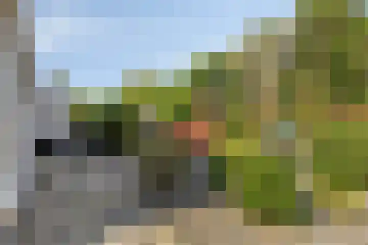 Cyclaamberg 2 Roosendaal thumbnail 31