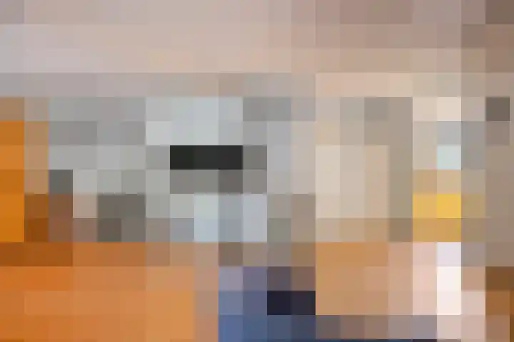 Cyclaamberg 2 Roosendaal thumbnail 4