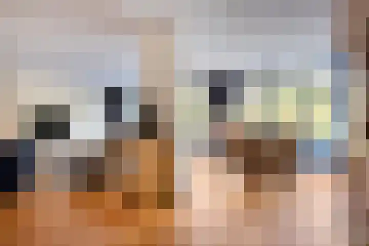 Cyclaamberg 2 Roosendaal thumbnail 9