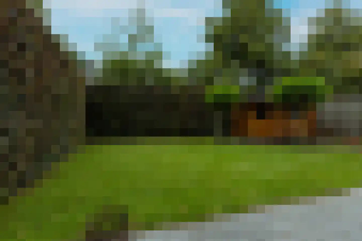 Cyclaamberg 58 Roosendaal thumbnail 34