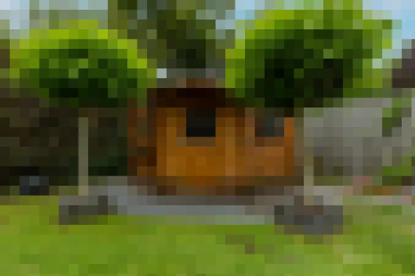 Cyclaamberg 58 Roosendaal thumbnail 35