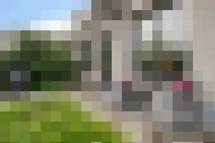 Cyclaamberg 80 Roosendaal thumbnail 31