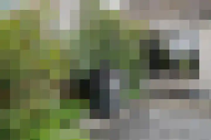 Cyclaamberg 80 Roosendaal thumbnail 32