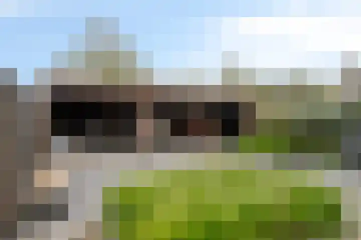 Cyclaamberg 80 Roosendaal thumbnail 33