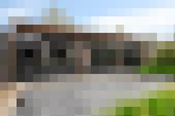 Cyclaamberg 80 Roosendaal thumbnail 34
