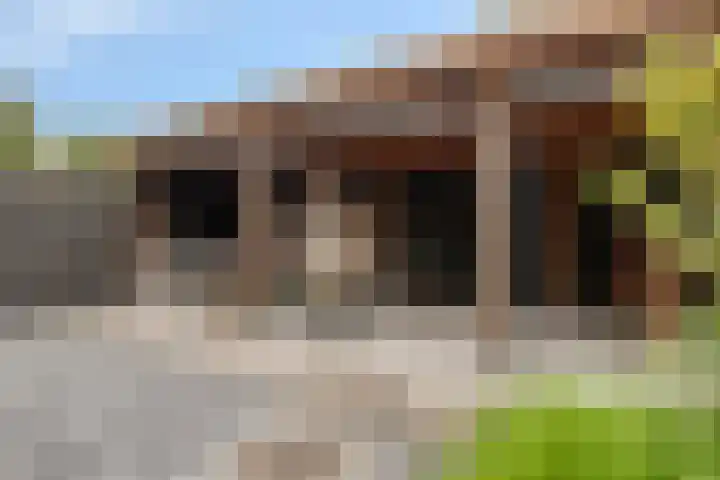 Cyclaamberg 80 Roosendaal thumbnail 35