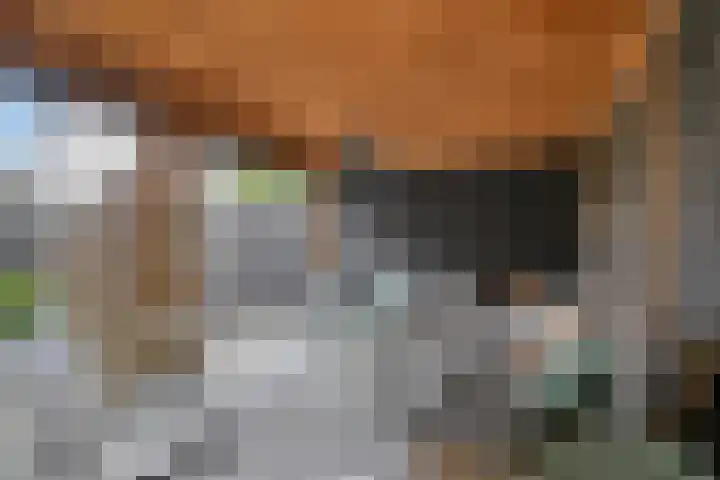 Cyclaamberg 80 Roosendaal thumbnail 37