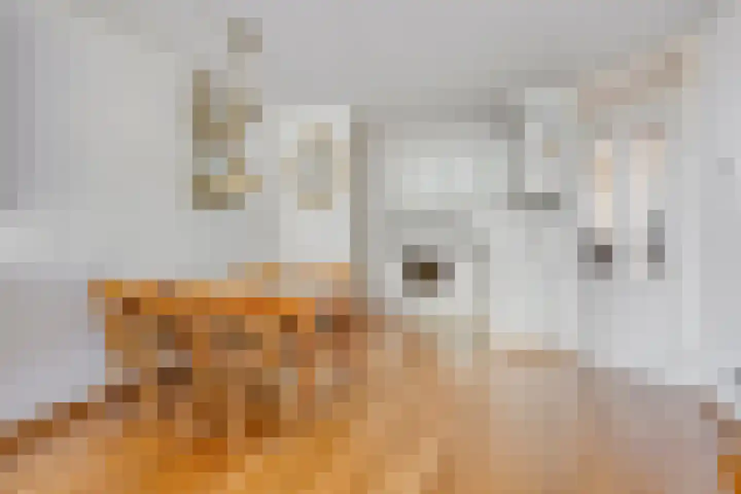 Cyclaamhof 24 Made thumbnail 17