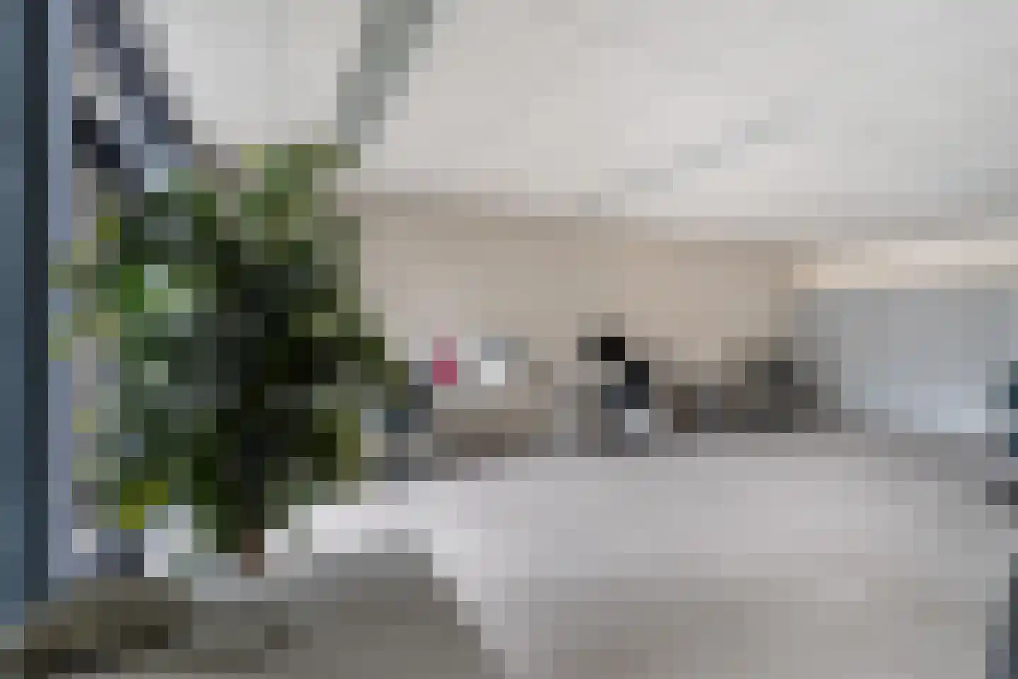 Cyclaamrood 2 Zoetermeer thumbnail 13