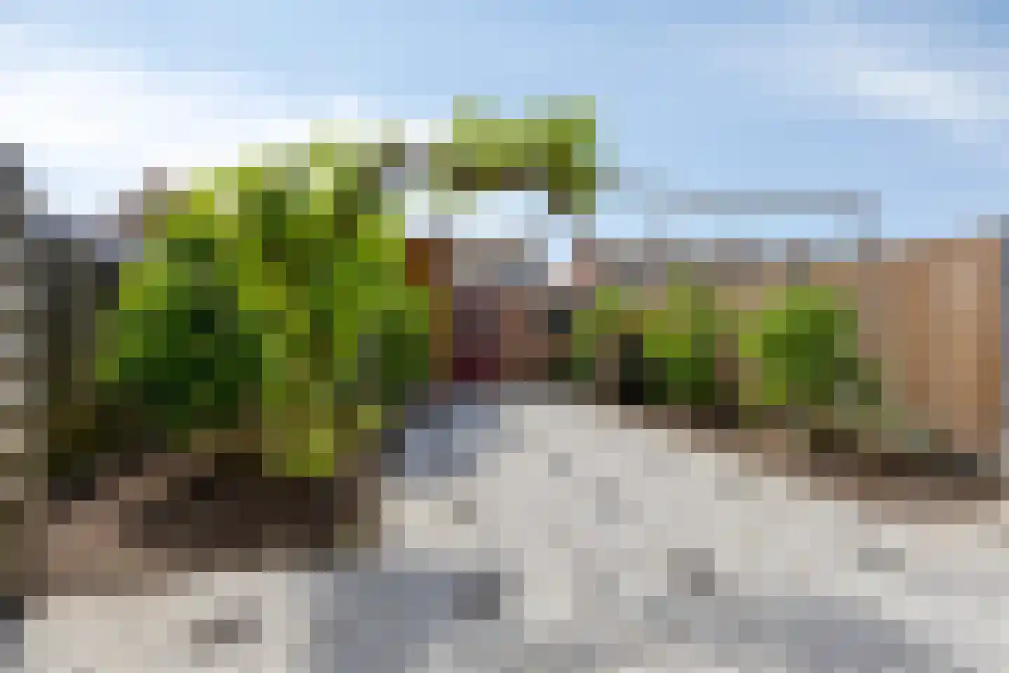 Cyclaamstraat 16 Steenbergen thumbnail 23