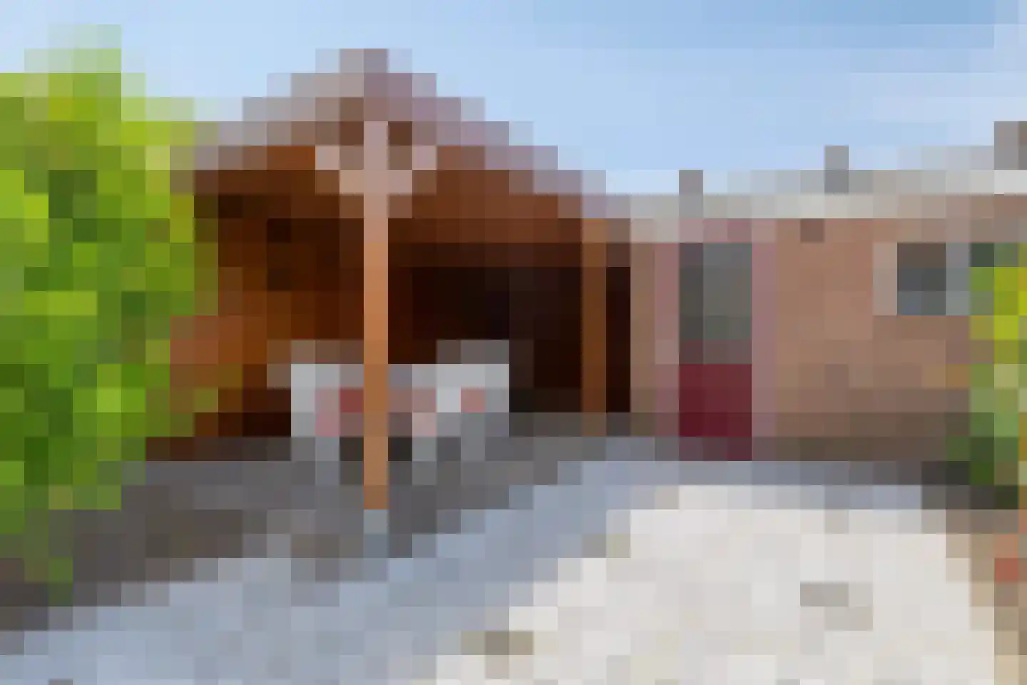 Cyclaamstraat 16 Steenbergen thumbnail 24