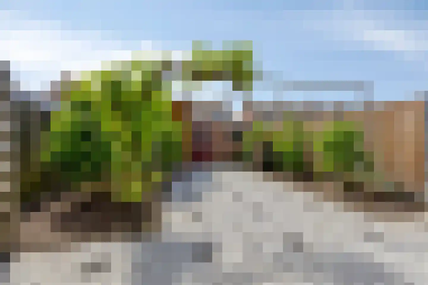Cyclaamstraat 16 Steenbergen thumbnail 27