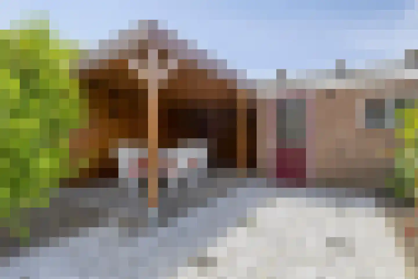 Cyclaamstraat 16 Steenbergen thumbnail 28