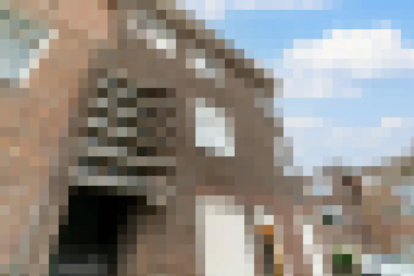 Cyclaamstraat 54 Den Haag thumbnail 5