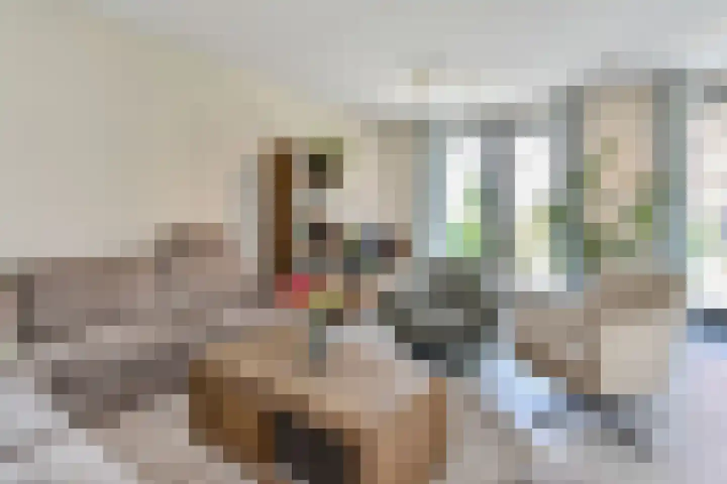 Cyclaamtuin 27 Pijnacker thumbnail 13