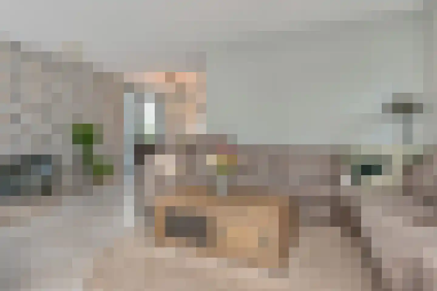 Cyclaamtuin 27 Pijnacker thumbnail 14