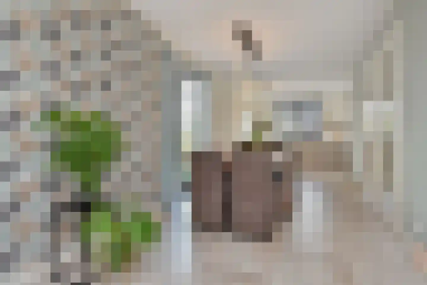 Cyclaamtuin 27 Pijnacker thumbnail 17