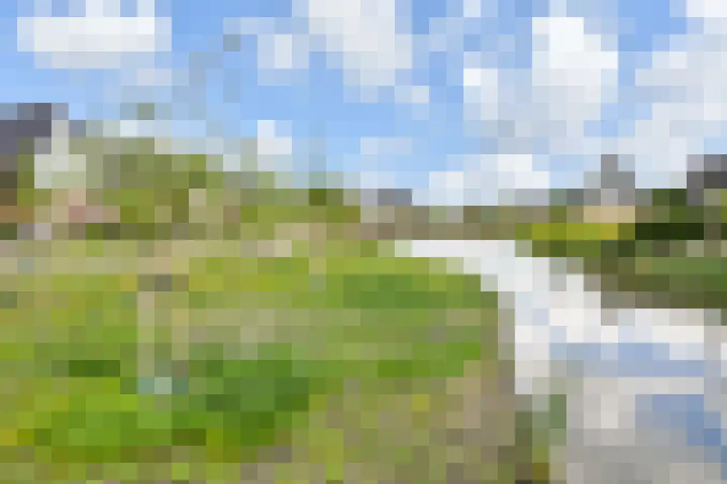 Cyclaamtuin 27 Pijnacker thumbnail 48