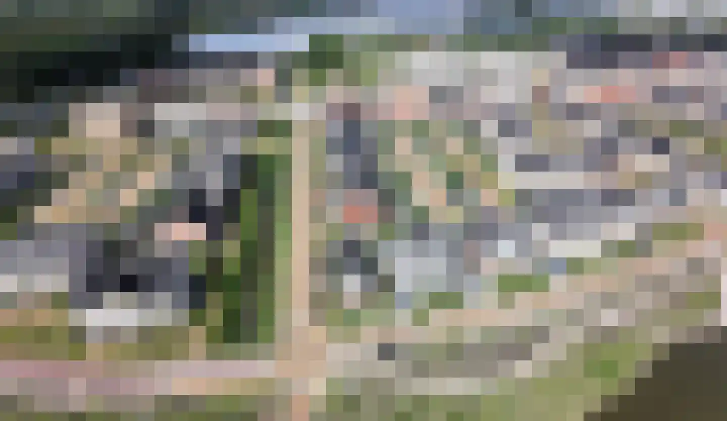 Cyclaamtuin 27 Pijnacker thumbnail 51
