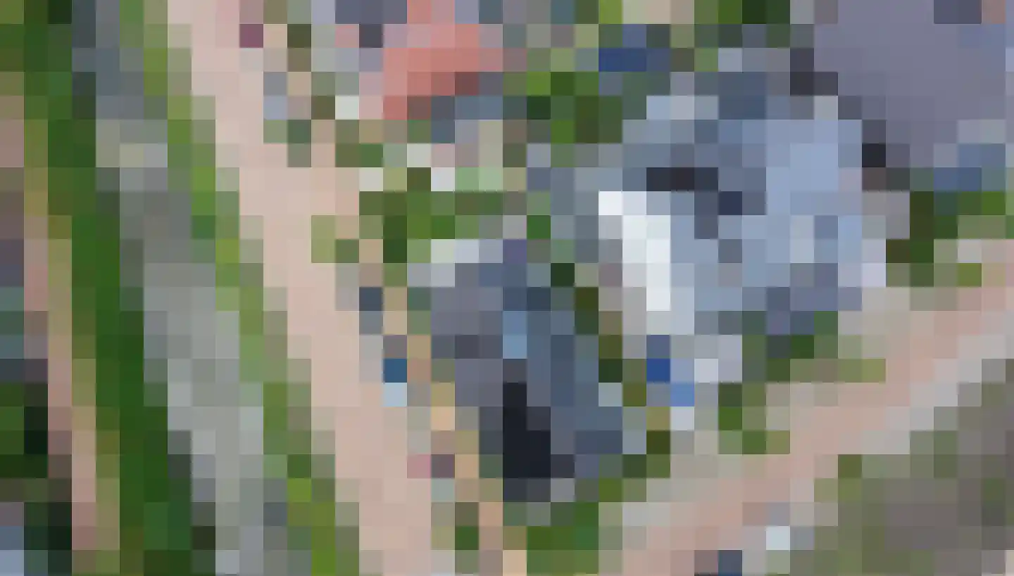 Cyclaamtuin 27 Pijnacker thumbnail 53