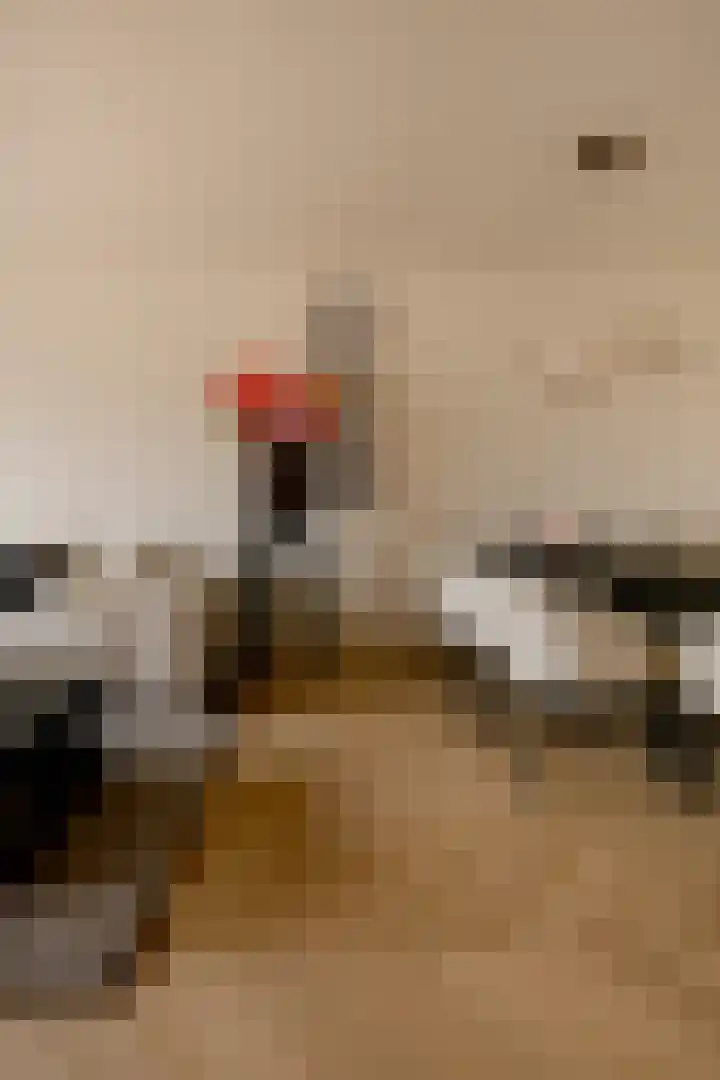Cyclaamtuin 7 Pijnacker thumbnail 10