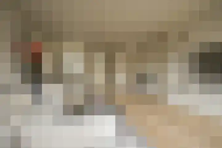 Cyclaamtuin 7 Pijnacker thumbnail 17