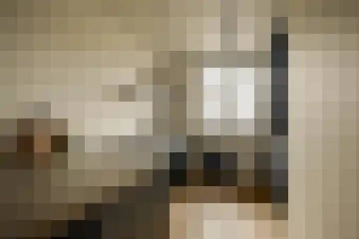 Cyclaamtuin 7 Pijnacker thumbnail 19