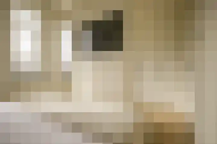 Cyclaamtuin 7 Pijnacker thumbnail 27